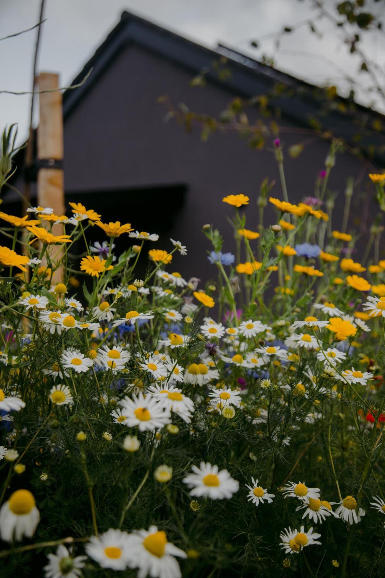 The Deerstone Luxury Eco Hideaway Villa Laragh Luaran gambar