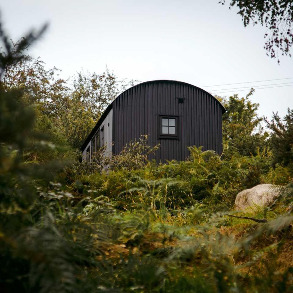 The Deerstone Luxury Eco Hideaway Villa Laragh Luaran gambar